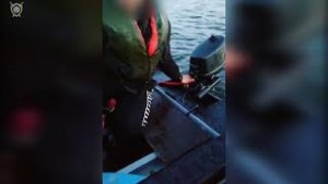 
 Покушение на незаконное пересечение Государственной границы Беларуси: расследование завершено 
 