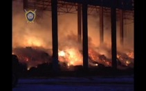 
 Пожар на ОАО "Воложинский льнокомбинат": видео с места происшествия
 